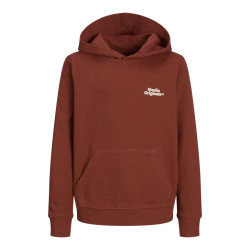 JACK & JONES JUNIOR Paros Type Hoodie - Arabian Spice