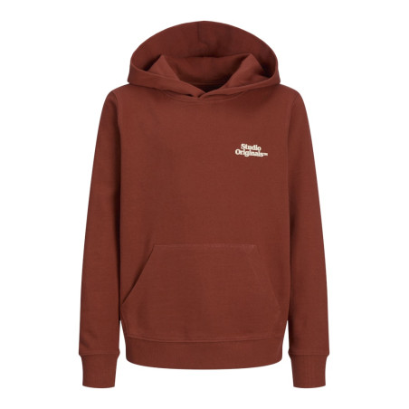 JACK & JONES JUNIOR Paros Type Hoodie - Arabian Spice
