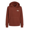 JACK & JONES JUNIOR Paros Type Hoodie - Arabian Spice
