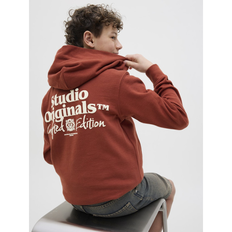 JACK & JONES JUNIOR Paros Type Hoodie - Arabian Spice