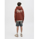 JACK & JONES JUNIOR Paros Type Hoodie - Arabian Spice