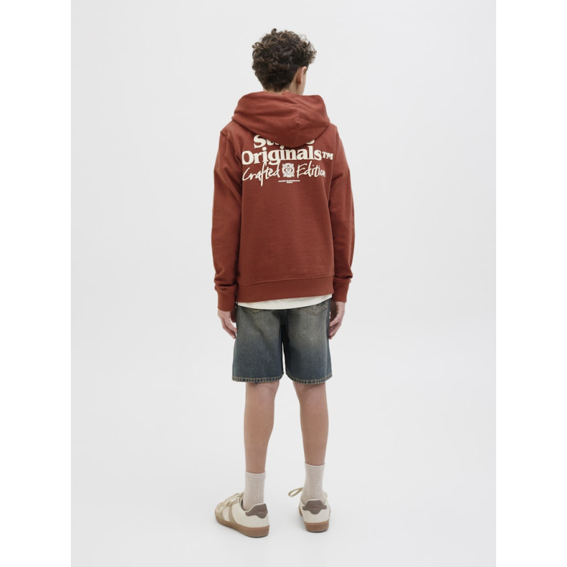 JACK & JONES JUNIOR Paros Type Hoodie - Arabian Spice