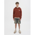 JACK & JONES JUNIOR Paros Type Hoodie - Arabian Spice