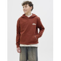 JACK & JONES JUNIOR Paros Type Hoodie - Arabian Spice