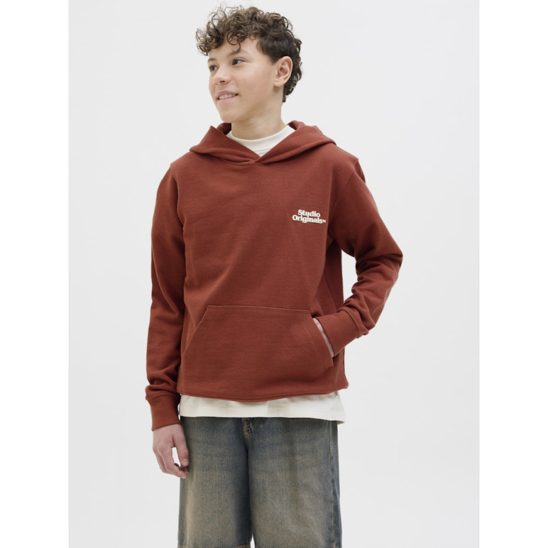 JACK & JONES JUNIOR Paros Type Hoodie - Arabian Spice