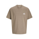 JACK & JONES JUNIOR Retreat Typographic T-shirt - Desert Taupe