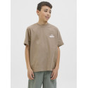 JACK & JONES JUNIOR Retreat Typographic T-shirt - Desert Taupe
