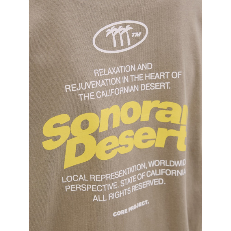 JACK & JONES JUNIOR Retreat Typographic T-shirt - Desert Taupe