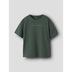 NAME IT KIDS Kingston T-shirt - Garden Topiary