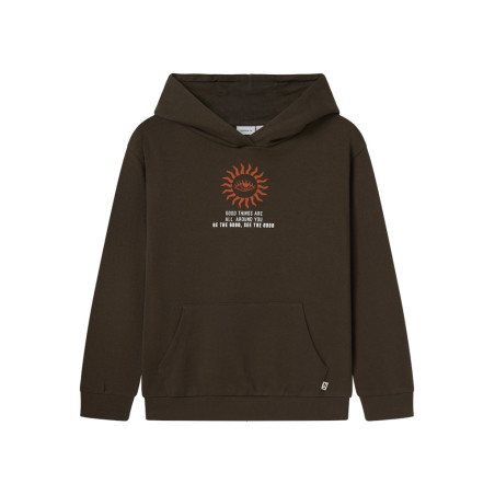 NAME IT KIDS Lanton Sweatshirt - Turkish Coffee