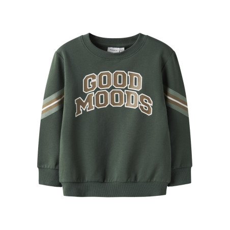 NAME IT MINI Lancer Sweatshirt - Garden Topiary